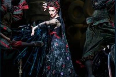 Ballet La Belle au bois dormant  Rouen
