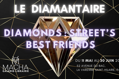 Exposition du diamantaire diamonds, street's best friends chez macha galerie à Saint Maur des Fosses