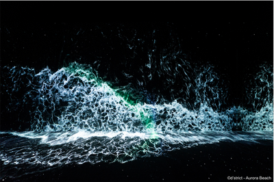 Dans le coeur de la vague, Exposition immersive en mapping vidéo à Paris 16ème