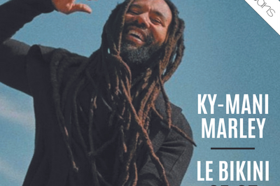 Ky-Mani Marley, Le Bikini 40 ans à Toulouse