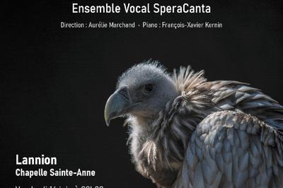 L'ensemble vocal SperaCanta, Requiem de Wolfgang Amadeus Mozart  Lannion