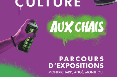 Street Culture aux  Chais  Monthou sur Cher