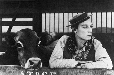 Cin-concerts et cinma muet, Ma vache et moi de Buster Keaton  Lyon