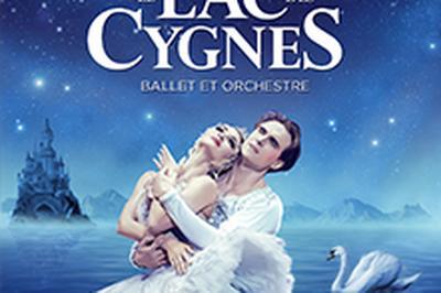 Le lac des cygnes  Rouen