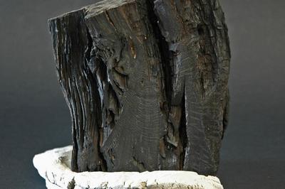 Exposition Terres & Morta  La Baule Escoublac