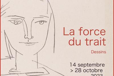Picasso, la force du trait  Paris 6me