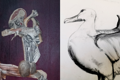Vernissage exposition, Emma Forestier et Jennifer Poulmarc'h  Brest