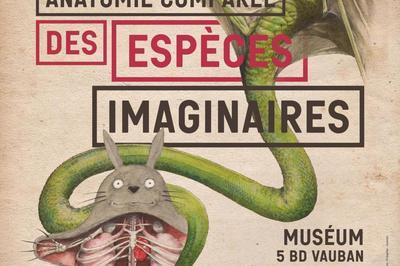Anatomie compare des espces imaginaires  Auxerre