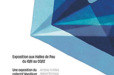Exposition collective Prismes à Pau