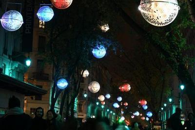 Plantodes  Lyon