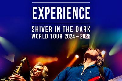 The Dire Straits Experience  Tours