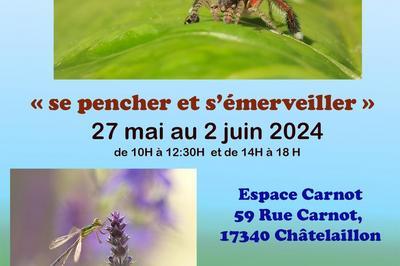 Expo photo nature  Chatelaillon Plage