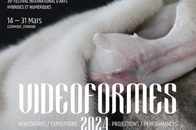Videoformes 2024, parcours d'expositions  Clermont Ferrand