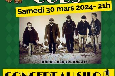 Concert de Dorcha Cobs pour la Saint Patrick  Monts sur Guesnes