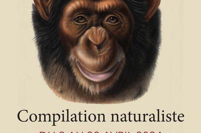 Compilation naturaliste  Abbeville