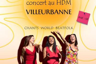 concert Zibrunes musique world beatfolk  Villeurbanne