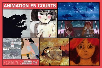 Animation en courts  Paris 6me