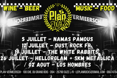 LePlan Rocks, DJ SEB et The White Rabbits  Suze la Rousse