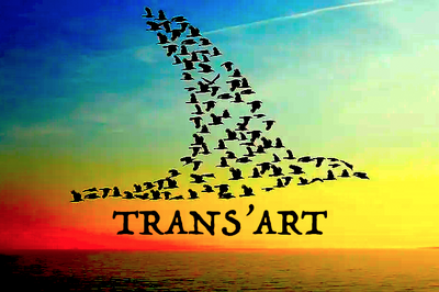 Trans'art, Envol vers un autre thtre: scne et crolisation des arts  Avignon