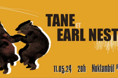 TANE, Ambient dub, lectro et rock, EARL NEST en 1re partie  Rennes