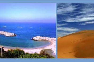 Alger - Dakar : Musiques de mer et de sable  Grenoble