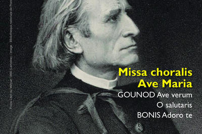 Franz Liszt, L'abb  Le Mesnil saint Denis