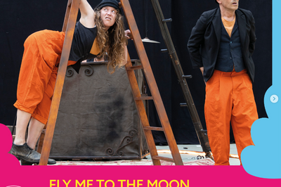 Fly me to the Moon  Seynod