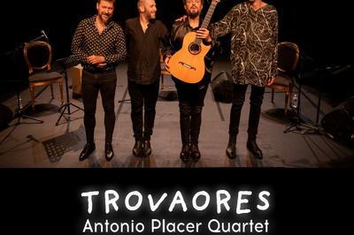 Trovaores  Pigna