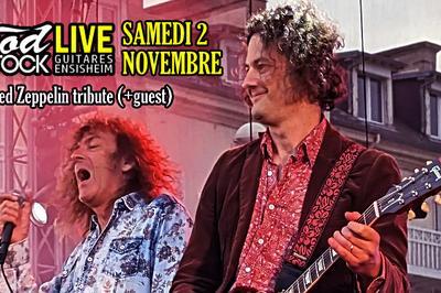 Zepset, tribute Led Zeppelin et Sat One  Ensisheim