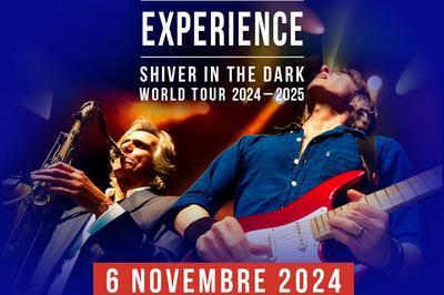 The Dire Straits Experience World Tour Shiver In The Dark  Paris 19me