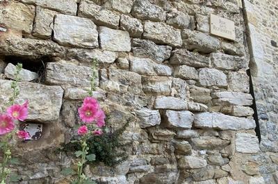 Chants Lyrique - piano  Le Poet Laval