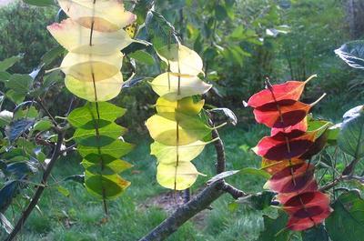 Causerie Land Art avec Karen Raccah  Caden