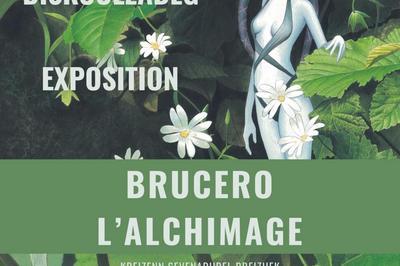 Exposition Brucero, l'Alchimage  Saint Herblain