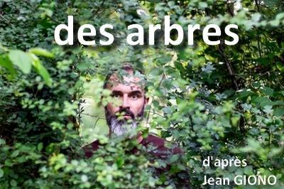 L'homme qui plantait des arbres  Nouaille Maupertuis