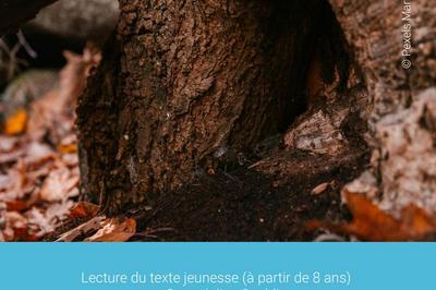 Lecture Publique, Gwendoline Soublin T(E)R:::R/IE:::R  Albi