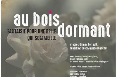 Au bois dormant, fantaisie pour une belle qui sommeille  Marseille