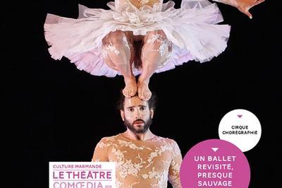 Le lac des cygnes, cirque chorgraphi  Marmande