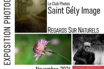 Exposition Photo Regards Sur Naturels  Saint Martin de Londres