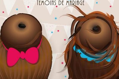 Jeanne et Gabrielle, tmoins de mariage, Dernires reprsentations  Saint Brieuc