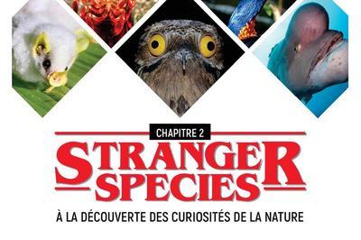 Stranger species :  la dcouverte des curiosits de la nature - Chapitre 2  Livinhac le Haut