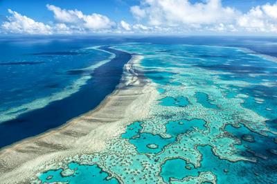 Exposition de sables  des Plages d'Australie et de Nouvelle Zlande  Saint Georges sur la Pree