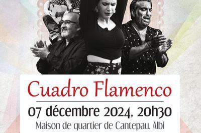 Cuadro Flamenco  Albi