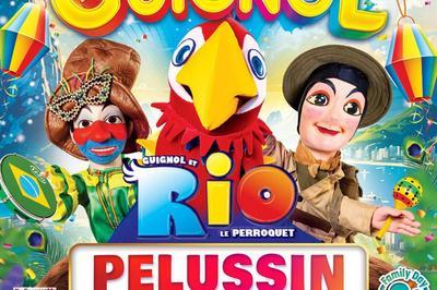 Guignol Rhne Alpes et Rio le majestueux perroquet  Pelussin