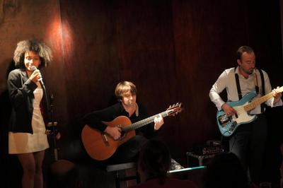 Fabien Lafiandra Trio : guitare, voix, basse  Grenoble