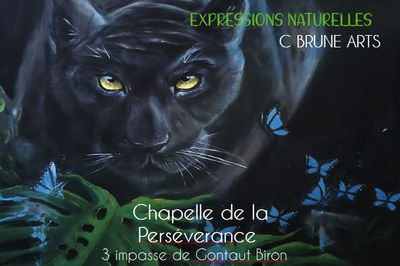 Exposition Expression Naturelles  Pau