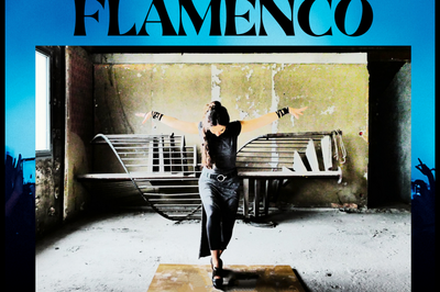 Diner Concert Danse Flamenco  Lyon