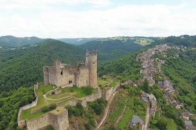  l'assaut de la forteresse royale de Najac