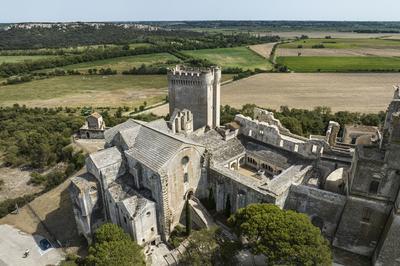 A la dcouverte de l'abbaye de Montmajour  Arles