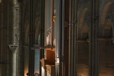 À La Découverte De L'orgue D'une Basilique À Travers Une Conférence-concert à Reims