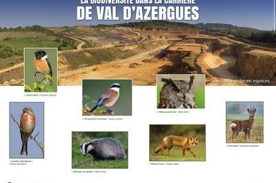  La Dcouverte De La Biodiversit De La Carrire  Saint Jean des Vignes